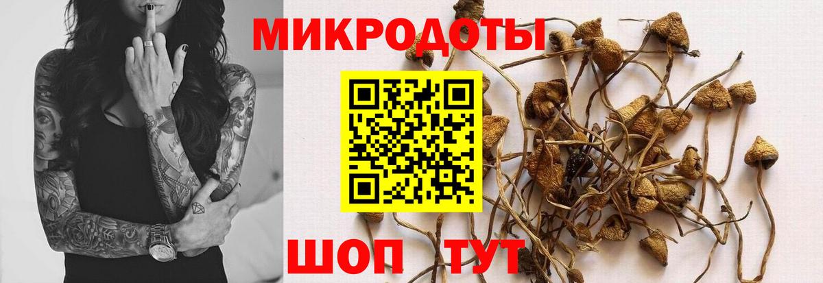 Галлюциногенные грибы Cubensis Обь