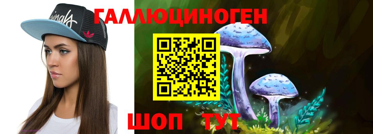 Псилоцибиновые грибы Psilocybine cubensis  Вход с VPN  Обь 